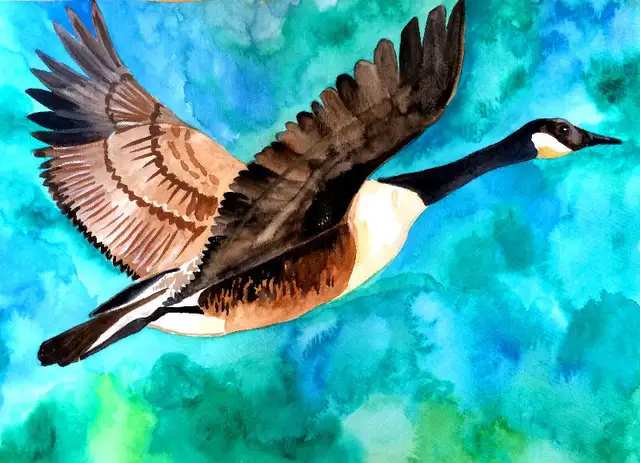 Private Tutoring and Art Lessons64519983734530127
