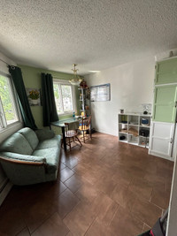 FULLY FURNISHED Condo for Rent-May 1st to August 31st