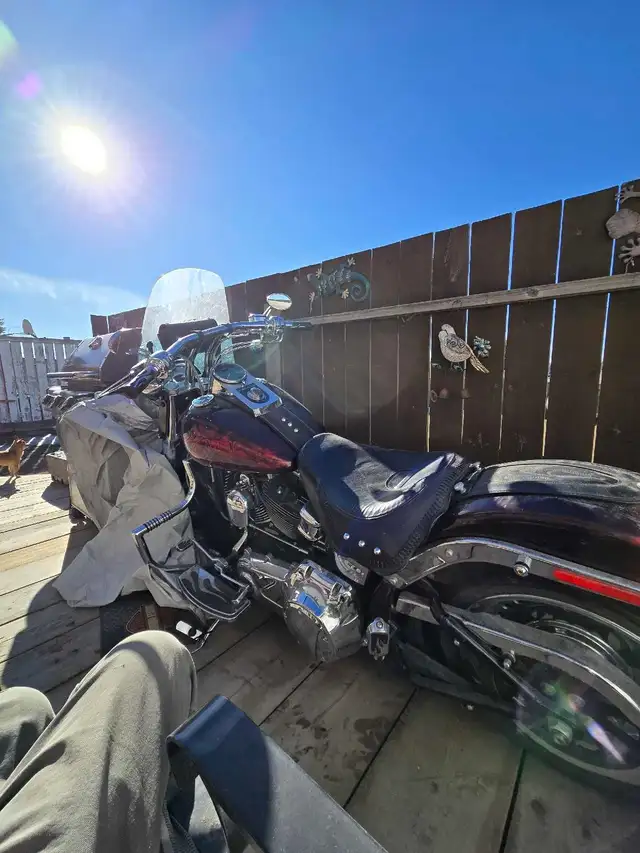 Harley Davidson fatboy 09 in Street, Cruisers & Choppers in Calgary - Image 4
