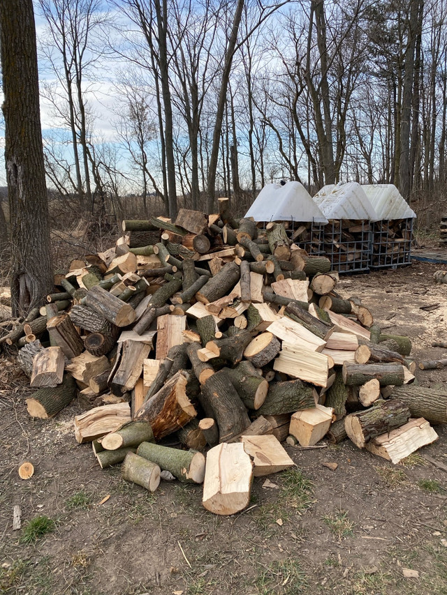 Fire wood for sale  in Other in Chatham-Kent