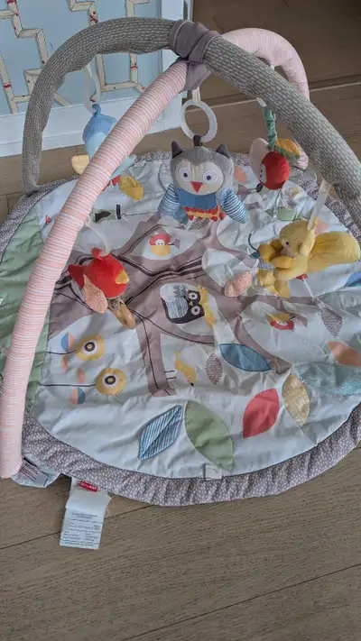 Skiphop Infant Playmat, View more