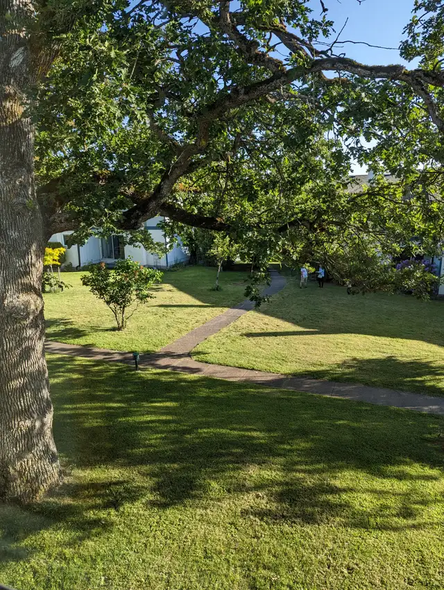 June 11-July 31 sublet - Furnished Bedroom near UVic $850 in Room Rentals & Roommates in Victoria - Image 10