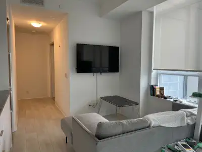 1 BHK Downtown Condo. (same as pics)