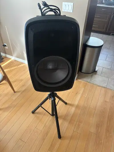 ION speakers with wireless mics, View more