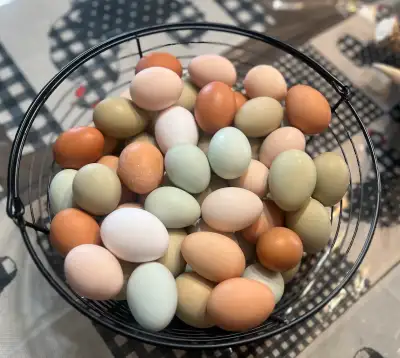 Farm Fresh Eggs, View more