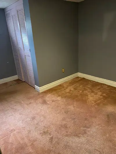 Looking for a quiet, clean and respectful working professional to rent bedroom in the basement of ou...