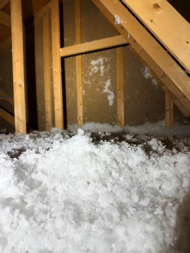 Attic Insulation577858272798986248