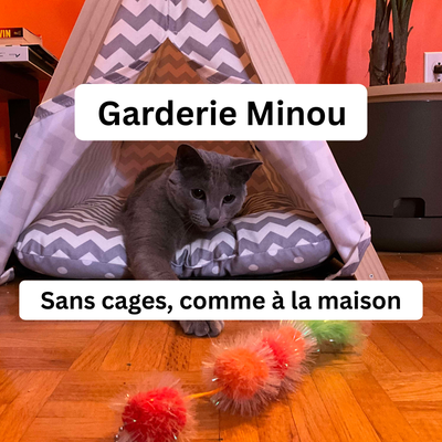 Pension pour chats à domicile – Soins personnalisés, sans cages Nous offrons un service de gardienna...
