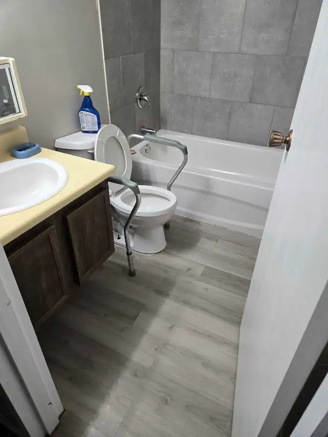 Cleaning515340100521185287