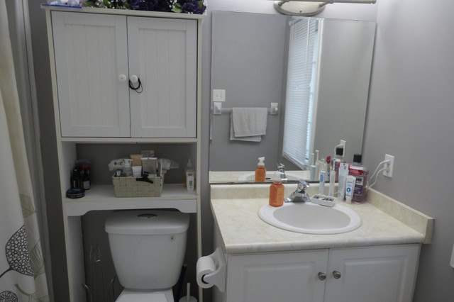 Four bedroom+ den, detached house in South end for rent in Long Term Rentals in Guelph - Image 2