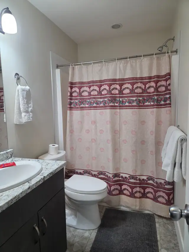 Open for short term or long term rental - 2 BR basement suite in British Columbia in Canada - Image 3