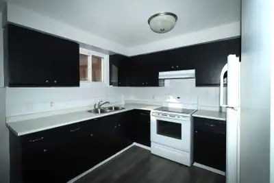 2 bedroom, full washroom,laundry room has fridge, stove, washer and dryer look out basement big wind...