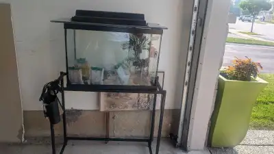 fish tank w/stand, View more