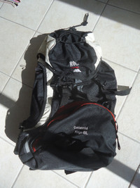 Roots 40 L Backpack