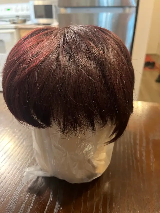girl short hair wigs in excellent new condition, $20 ea ch