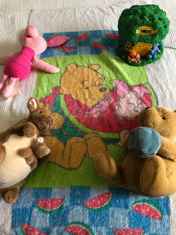 WINNIE THE POOH BUNDLE in Toys & Games in Delta/Surrey/Langley - Image 2
