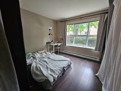 I'm looking for a roommate to share a 1-bedroom apartment starting August 1st. The total rent is $2,...