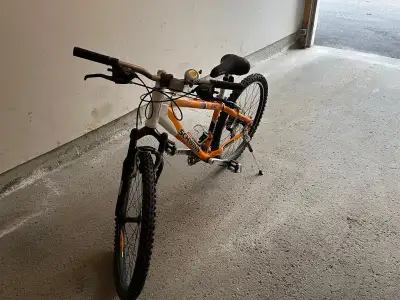 Schwinn Hera mountain bike, View more