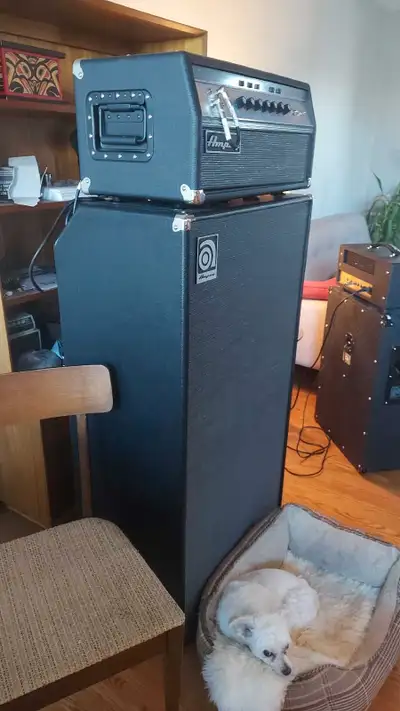Ampeg SVT VR head and SVT810AV cabinet , View more