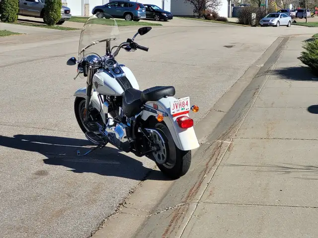 2002 HARLEY DAVIDSON FAT BOY in Street, Cruisers & Choppers in Edmonton - Image 3