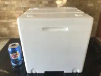 Free Small Styrofoam Cooler Shipping Container With Tight Lid