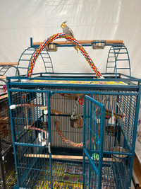 Large wheeled bird cage for sale
