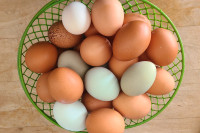 Large Farm Fresh Eggs