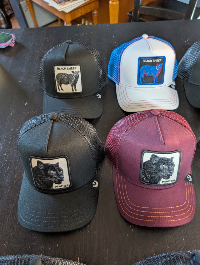 Goorin Bros Trucker Hats - The Farm Collection - NEW in Men's in Edmonton - Image 2