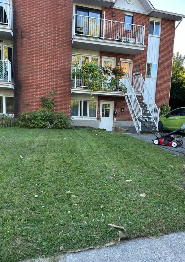 Lanw mowing services 464149116555120643