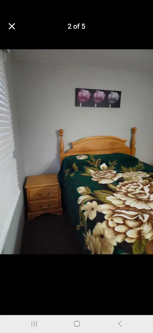 queen bedroom  in Beds & Mattresses in Delta/Surrey/Langley - Image 6
