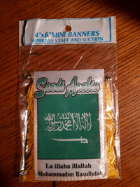 Saudi Arabia Minnie Banner