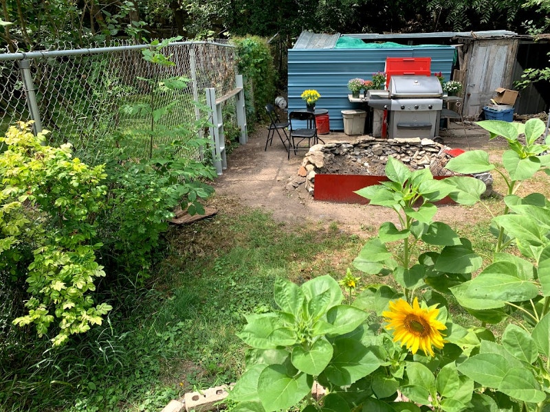 Hiring house and yard cleaner and decorator for temp project Cleaning