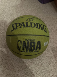 Spalding NBA outdoor basketball