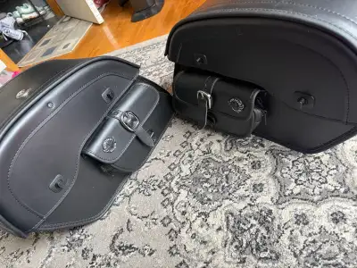 I have some Viking king side bags for a motorcycle for sale! Never been mounted on any bike, were or...