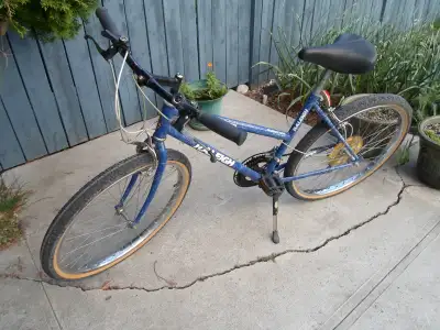 Raleigh Bike, View more