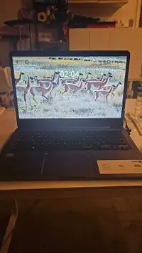 Asus l406m Laptop