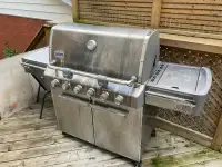 Weber summit barbecue 