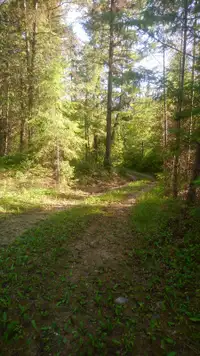 10 Acres For Sale in the TNRD, in Barriere, BC.
