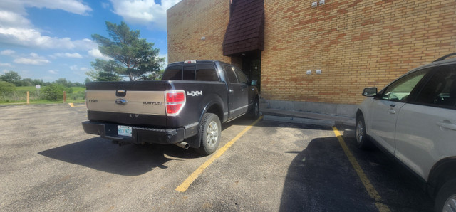 2011 Ford F-150  Platinum in Cars & Trucks in Saskatoon - Image 4