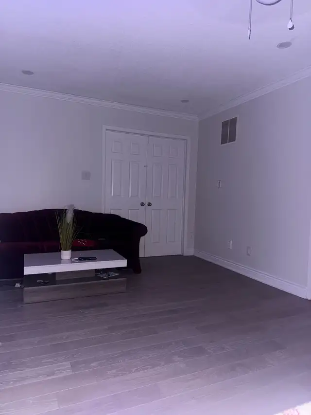 sharing room available guy
