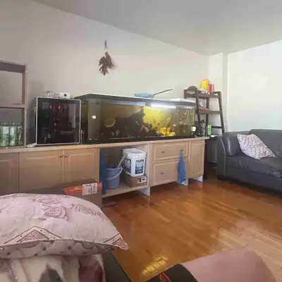 72inch X 18inch X20inch fishtank very good condition comewith a ac110 ，airpump，eheim heater，2 light...