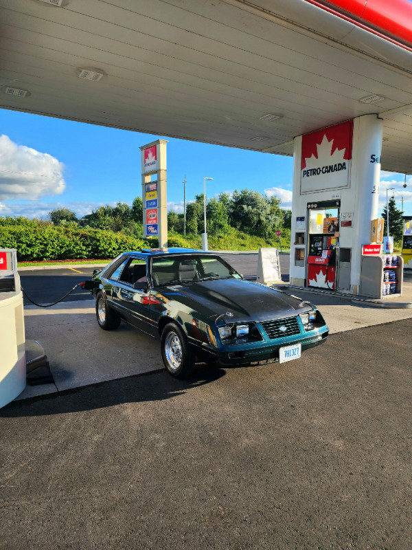 1983 Ford Mustang GT in Classic Cars in Markham / York Region - Image 2