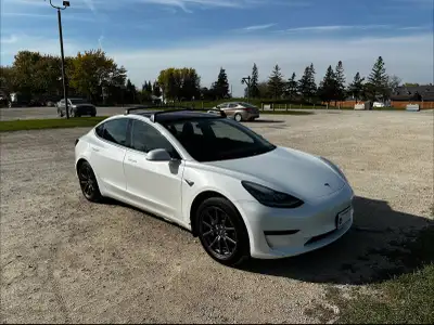 2018 Tesla Model 3 Long Range RWD with Full Self-Driving (Supervised) included for the life of the c...