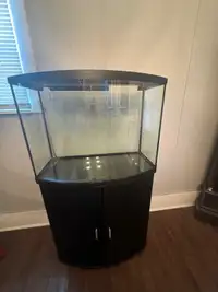 40gal Fish tank with cabinet stand