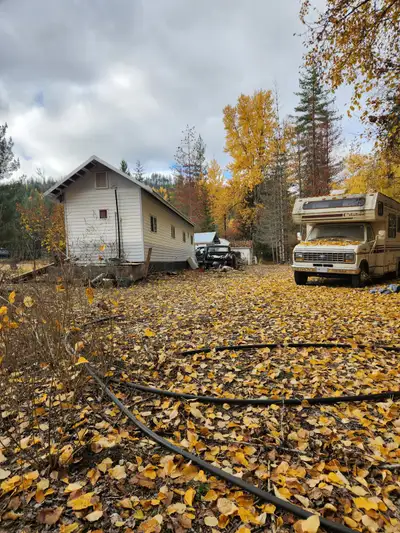 Looking for responsible tenants , lots of parking . Lots of room to grow food ,