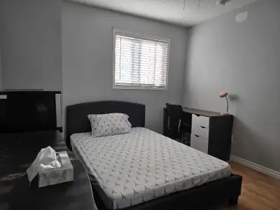 Room for rent available in Pickering walk destins to bus stop, walmart, no frill. All inclusive..