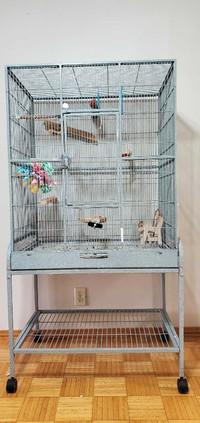 Used bird cage available