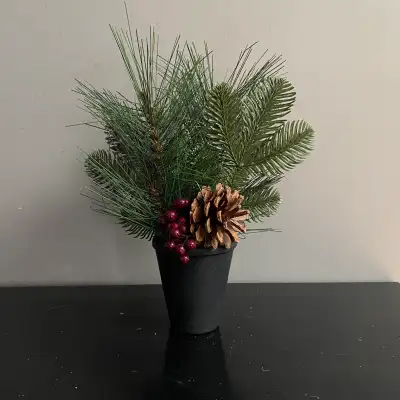 Used for one season