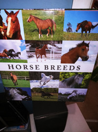EXTREMELY LARGE HORSE BREEDS BOOK