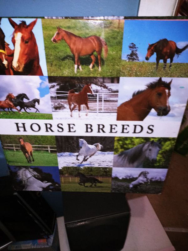 EXTREMELY LARGE HORSE BREEDS BOOK in Textbooks in Sarnia